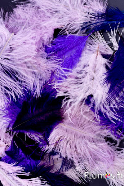 Autruche Bellies - 5-10 cm - mixte violet